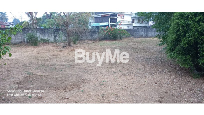 land-for-sale-in-wattala-t361-big-1