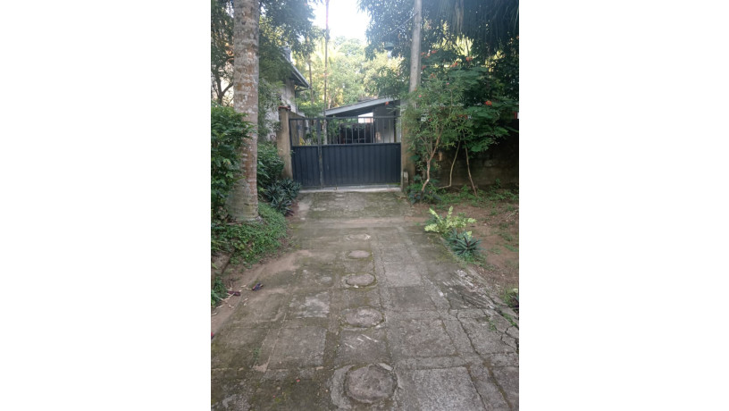 house-for-sale-in-bandaragama-big-1