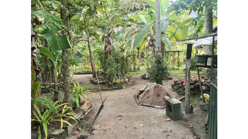 house-for-sale-in-bandaragama-big-6