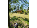 land-for-sale-in-jaela-small-2