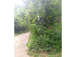 LAND FOR SALE IN BALAGOLLA