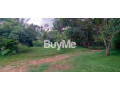 house-for-rent-in-padukka-small-2
