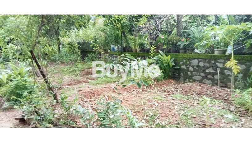 house-for-sale-in-piliyandala-big-0