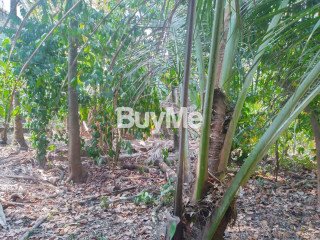 LAND FOR SALE AT RATHNA MW DULAMMAHARA - PILIYANDALA