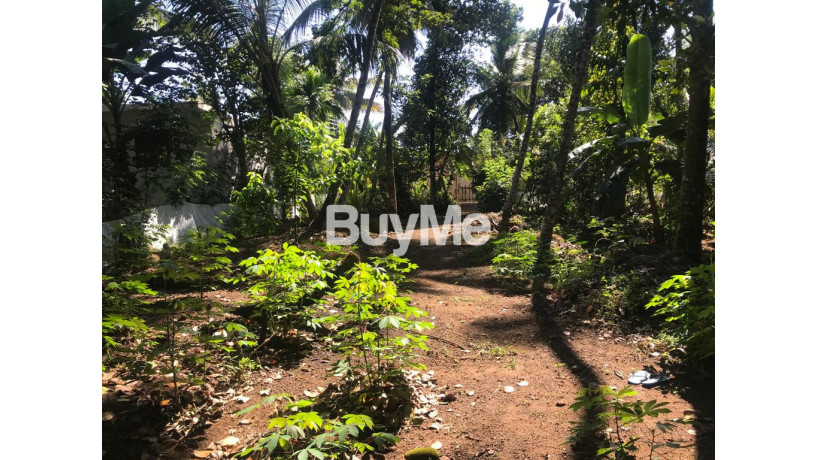land-for-sale-ragama-big-3