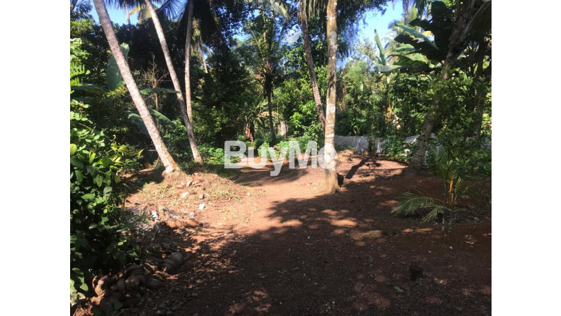 land-for-sale-ragama-big-5