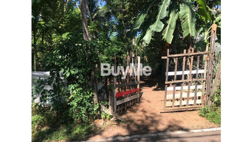 land-for-sale-ragama-big-2