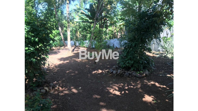 land-for-sale-ragama-big-4