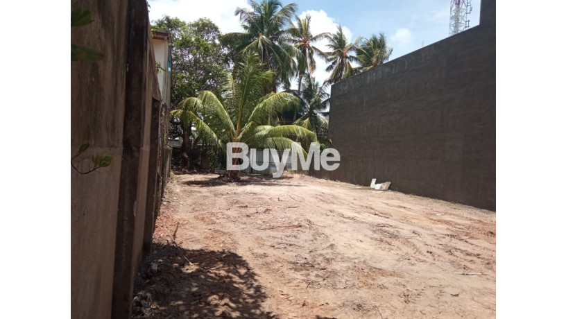 land-for-sale-in-mount-lavinia-sirimal-uyana-big-1