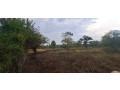 400-perch-land-for-sale-in-anuradhapura-small-1