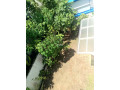 completed-two-storey-house-for-sale-in-ja-ela-small-4