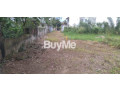 land-for-sale-in-rathmalana-small-1