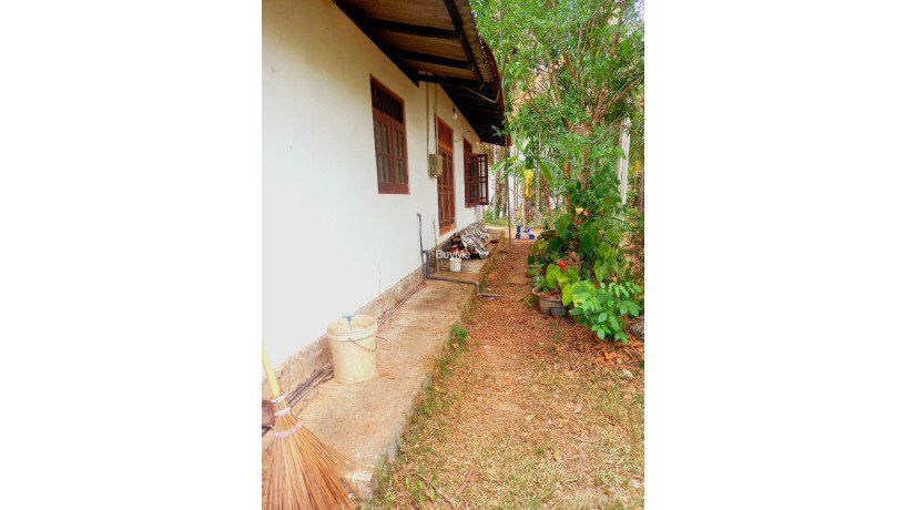 house-for-sale-in-gampaha-asgiriya-big-6