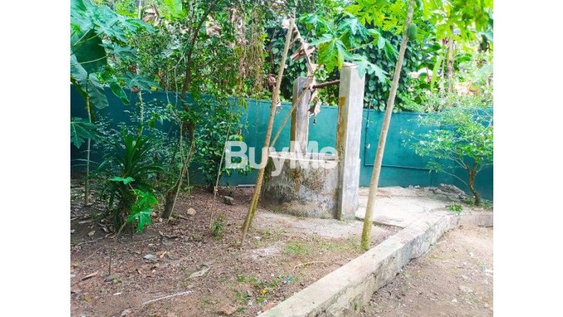 house-for-sale-in-kirillawla-kadawatha-big-3