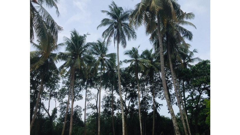 38-perch-land-for-sale-in-kaduwela-big-7