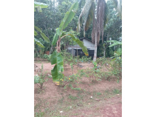 15-PERCH LAND FOR SALE IN WALPOLA, ATHTHANAGALLA