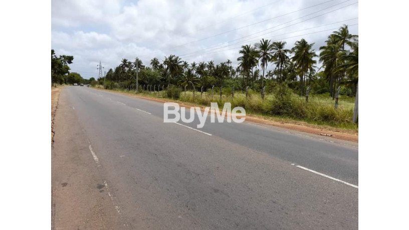 bare-land-for-sale-in-puttalam-district-puttalam-colombo-main-road-facing-big-0