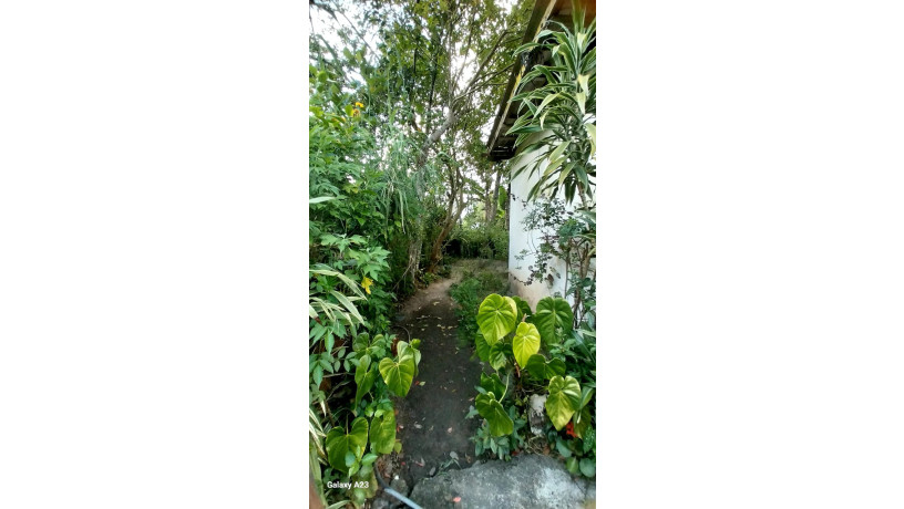 house-for-sale-in-upcot-maskeliya-big-4