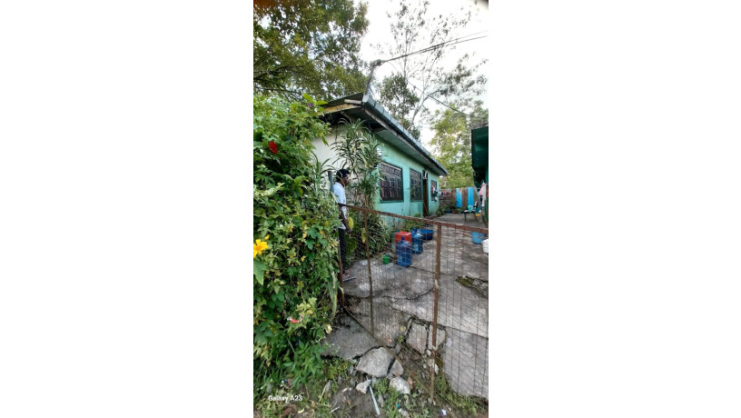 house-for-sale-in-upcot-maskeliya-big-5