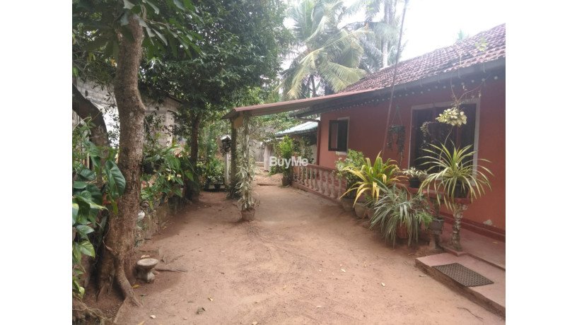 house-for-sale-in-gampaha-asgiriya-big-1