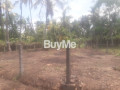 land-for-sale-in-minuwangoda-polwatta-small-2