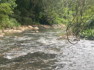 100 PERCH LAND FOR SALE IN WELLAWAYA, ELLA