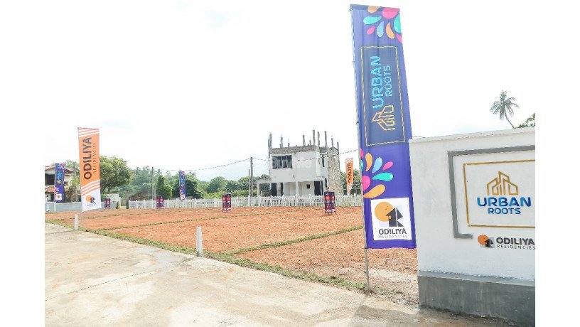 land-for-sale-in-boralesgamuwa-big-2