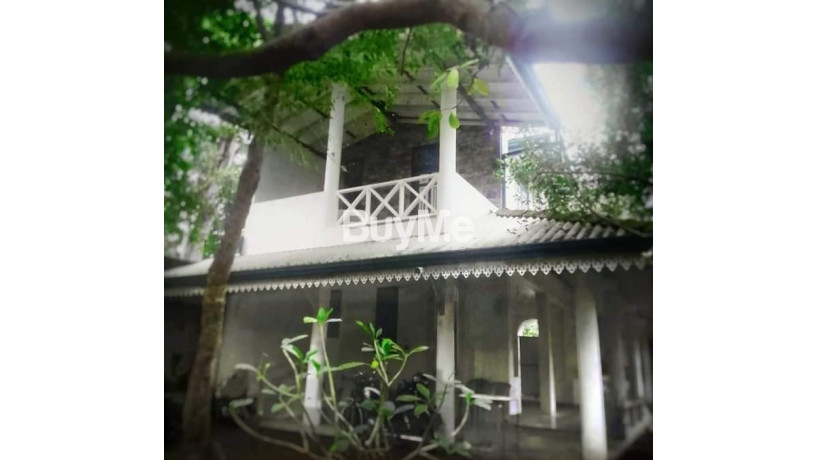 villahouse-for-sale-unawatuna-big-0