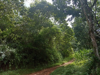 LAND FOR SALE – MEEPE, PADUKKA