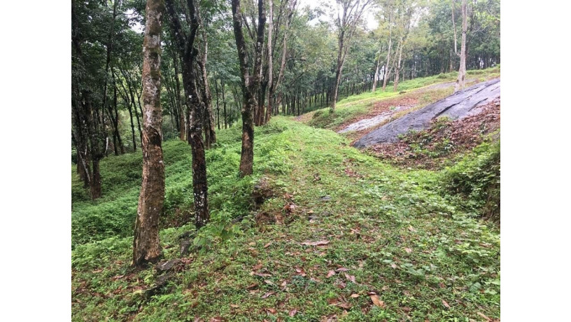 land-for-sale-meepe-padukka-big-3