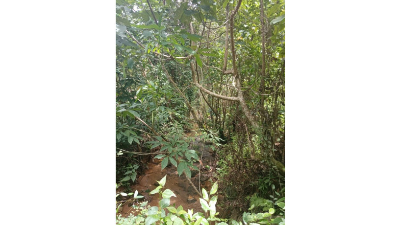 land-for-sale-meepe-padukka-big-6