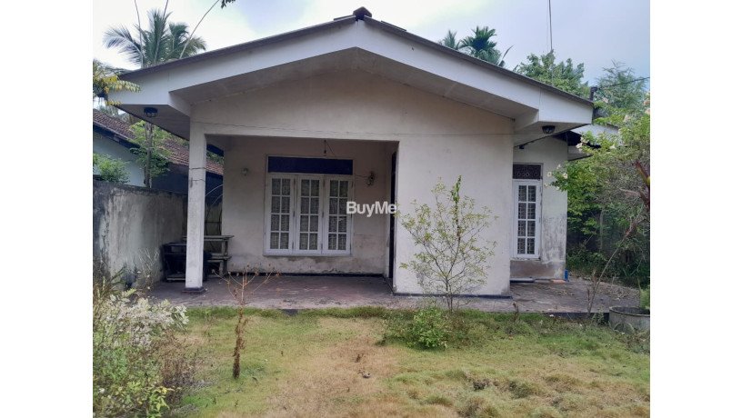 commercial-land-with-2-houses-for-sale-in-galle-balapitiya-big-2