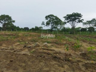 Agricultural land for sale