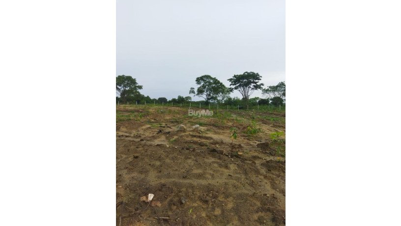 agricultural-land-for-sale-big-0