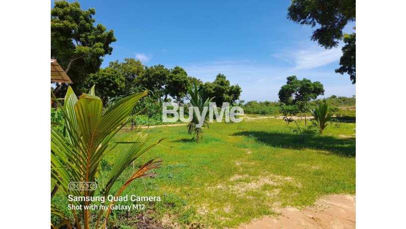 beachfront-land-for-sale-in-komari-arugambey-big-0