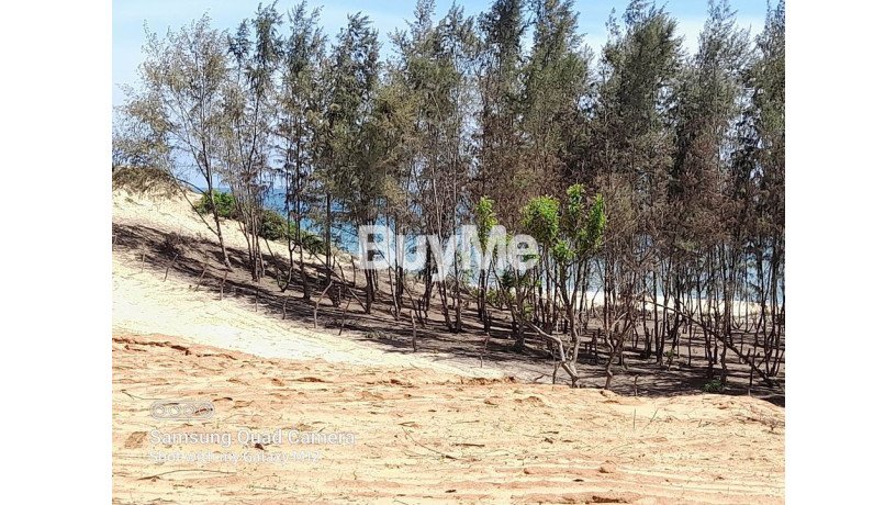 beachfront-land-for-sale-in-komari-arugambey-big-2