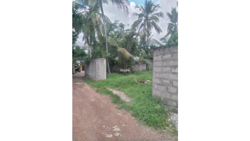 land-for-sale-in-kottawa-big-2