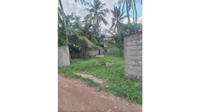 land-for-sale-in-kottawa-big-1