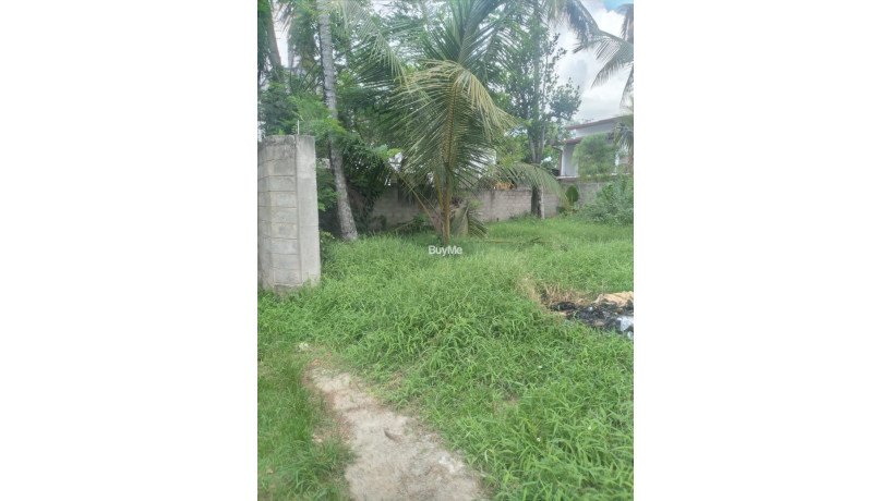 land-for-sale-in-kottawa-big-6