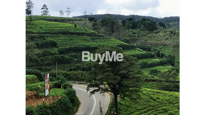 land-for-sale-nuwara-eliya-big-0
