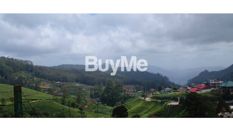 land-for-sale-nuwara-eliya-big-1