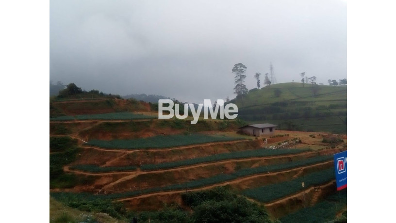 land-for-sale-nuwara-eliya-big-2