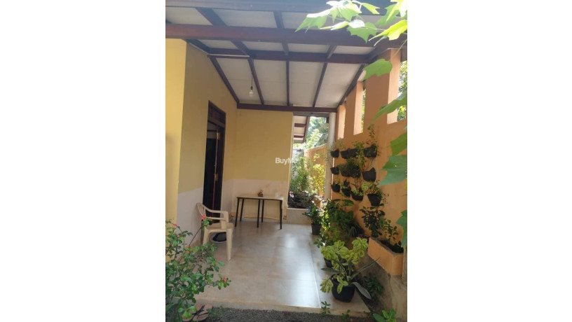 house-for-sale-in-panadura-mahawla-dibbedda-big-0