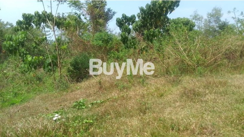 land-for-sale-in-kalutara-nagoda-dodangoda-big-3