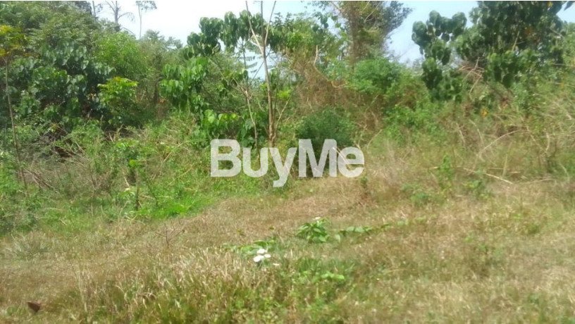 land-for-sale-in-kalutara-nagoda-dodangoda-big-2