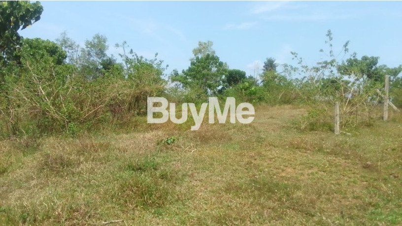 land-for-sale-in-kalutara-nagoda-dodangoda-big-0