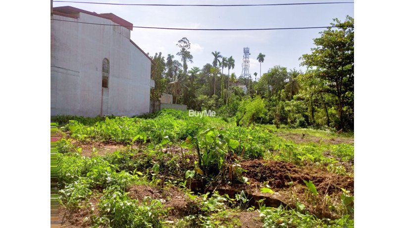 land-for-sale-in-kalutara-nagoda-big-7