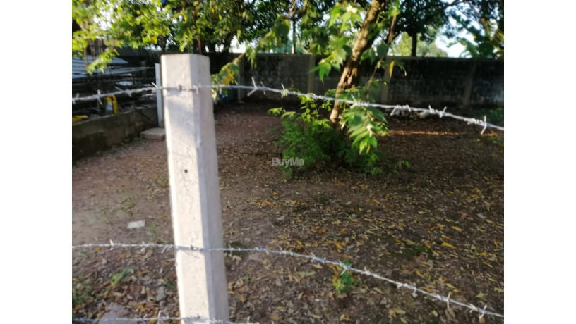 land-for-sale-in-wattala-kerawalapitiya-road-big-1