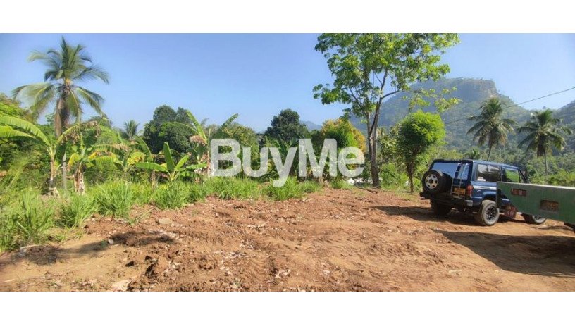 beautiful-mind-blowing-land-for-sale-in-kurunegala-big-0