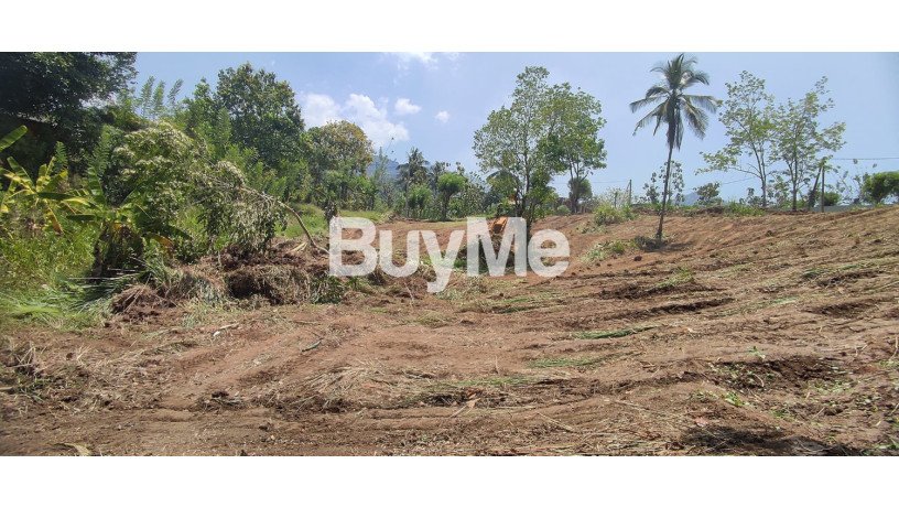 beautiful-mind-blowing-land-for-sale-in-kurunegala-big-1